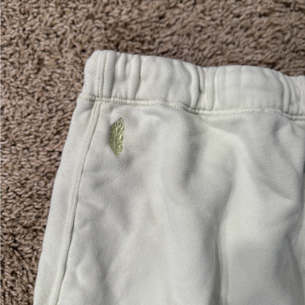 Free People Colorblock Joggers - Picture 4 of 4